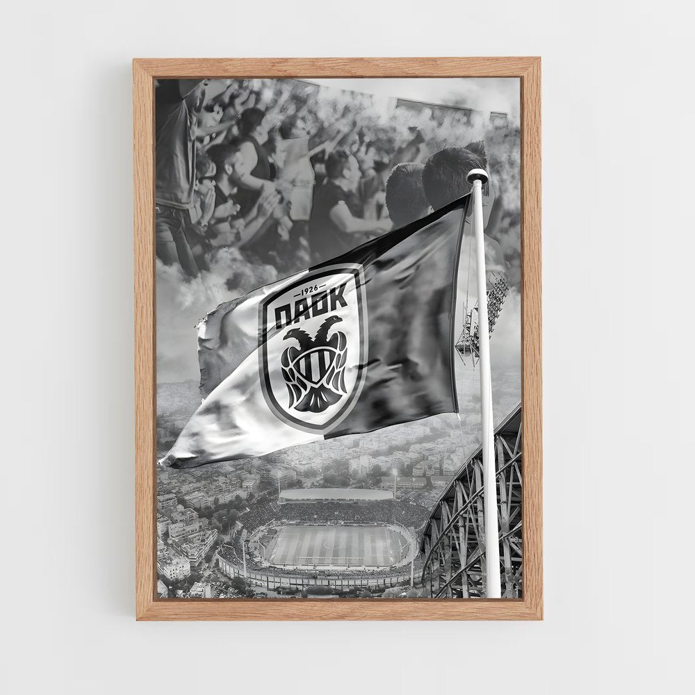ap-paok thessaloniki fc-1 cadre Bois clair