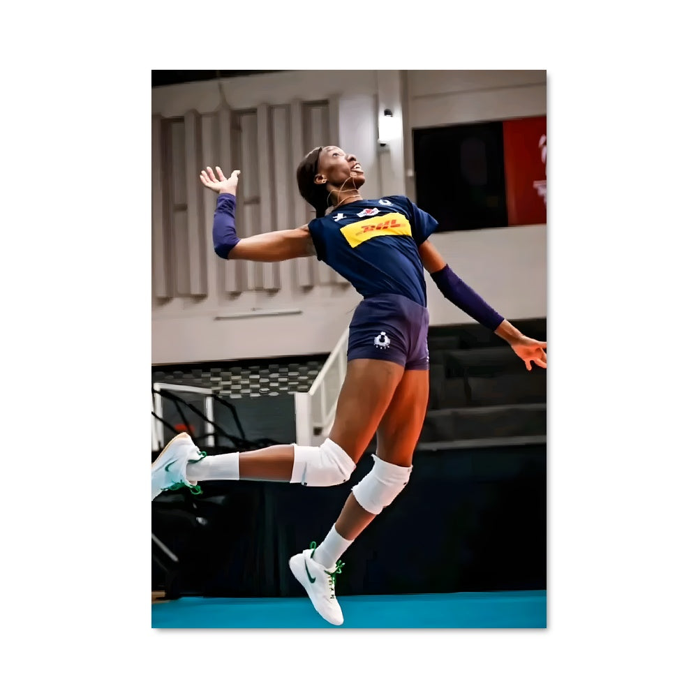 Poster Paola egonu 75008