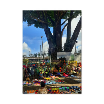 Poster Arbre aux Souliers