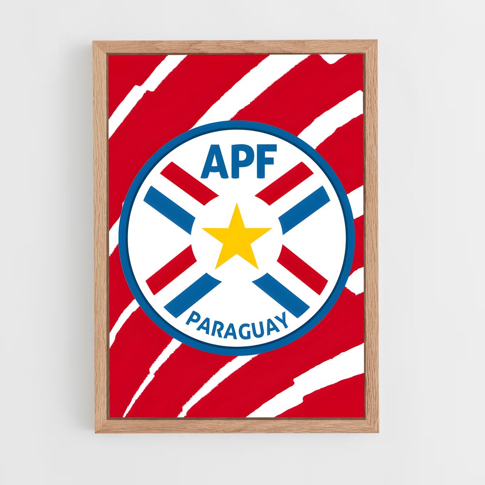 ap-paraguay national football team-2 cadre Bois clair