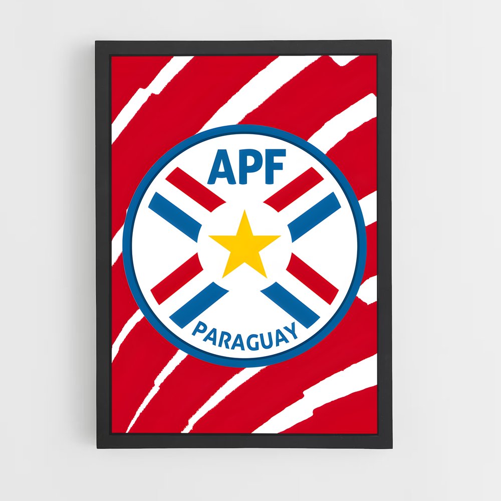 ap-paraguay national football team-2 cadre Noir