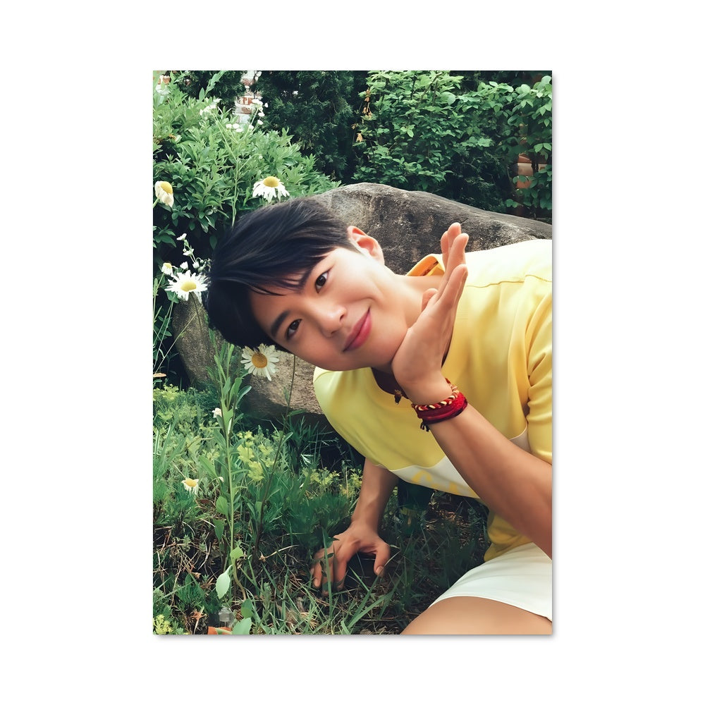 Poster Bo-Gum Dreamscape
