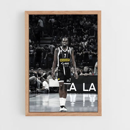 ap-partizan belgrade basketball-1 cadre Bois clair