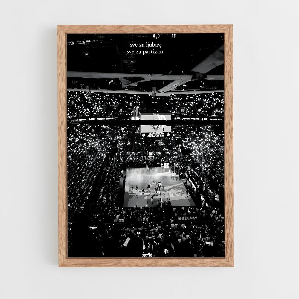 ap-partizan belgrade basketball-5 cadre Bois clair
