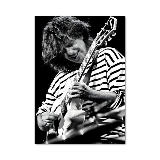 Poster Pat Metheny Live