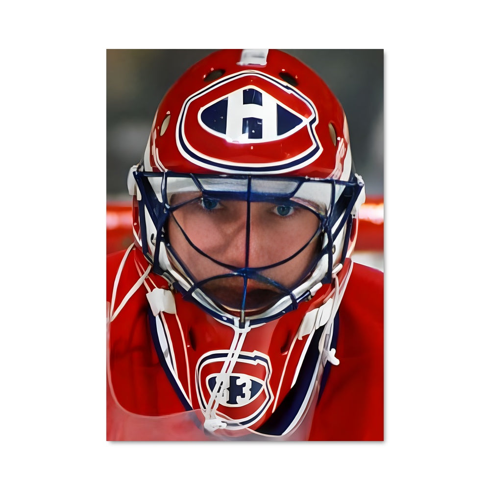 Poster Gardien de la Glace