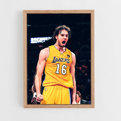 ap-pau gasol-1 cadre Bois clair
