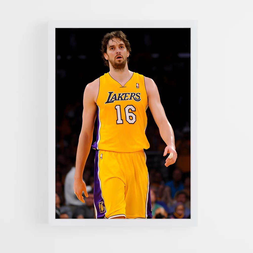 ap-pau gasol-3 cadre Blanc