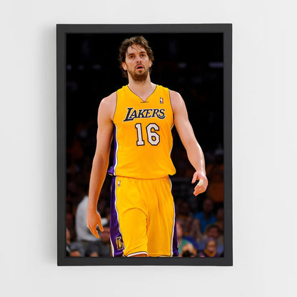 ap-pau gasol-3 cadre Noir