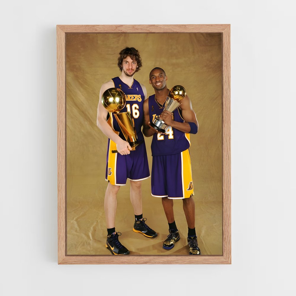 ap-pau gasol-4 cadre Bois clair