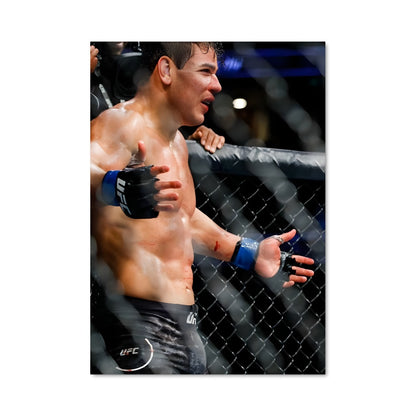 Poster Victory in the Octagon