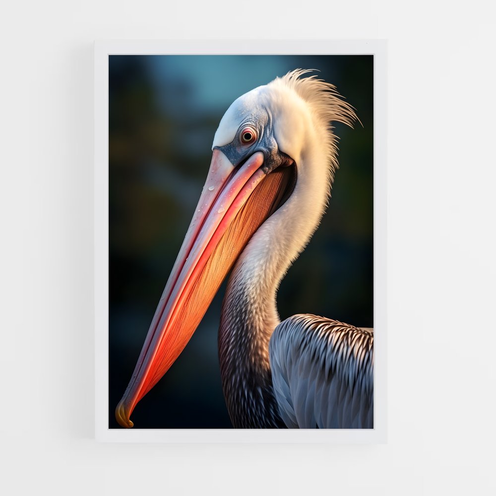 ap-pelican-2 cadre Blanc