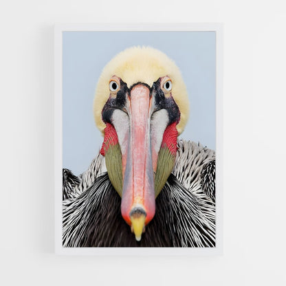 ap-pelican-3 cadre Blanc