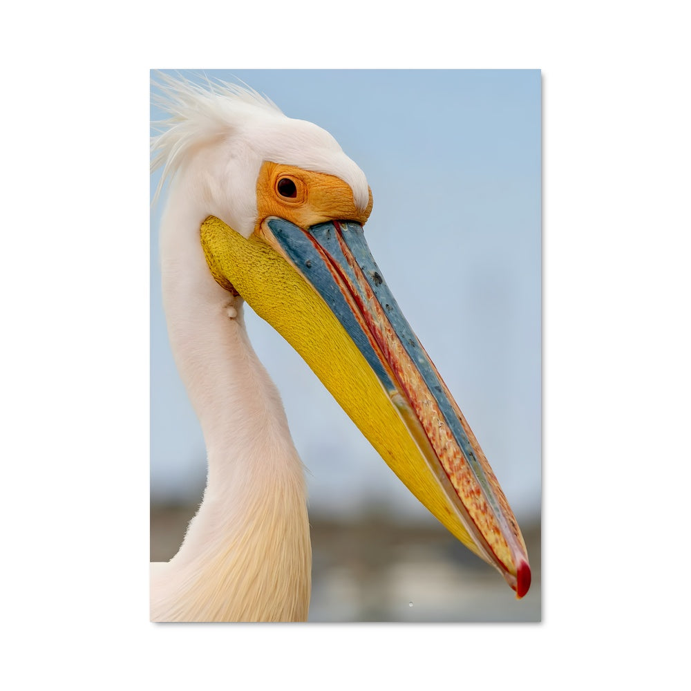 Poster Oiseau Profond