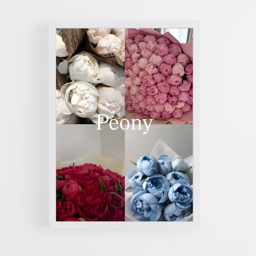 ap-peony-12 cadre Blanc