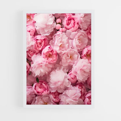 ap-peony-2 cadre Blanc