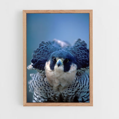 ap-peregrine falcon-3 cadre Bois clair