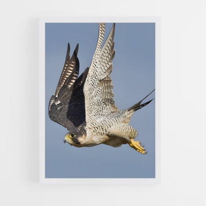 ap-peregrine falcon-5 cadre Blanc