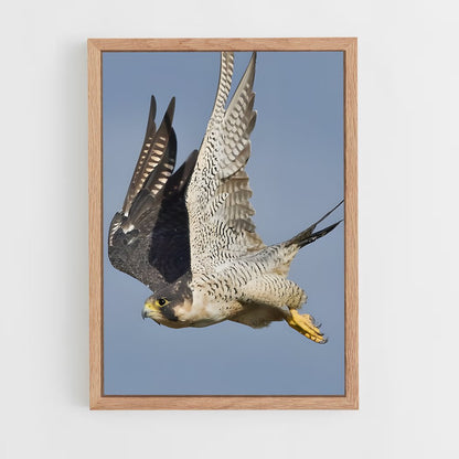 ap-peregrine falcon-5 cadre Bois clair