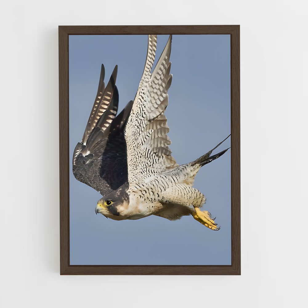 ap-peregrine falcon-5 cadre Bois foncé