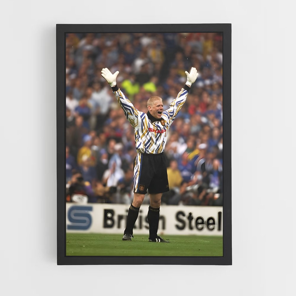 ap-peter schmeichel-7 cadre Noir