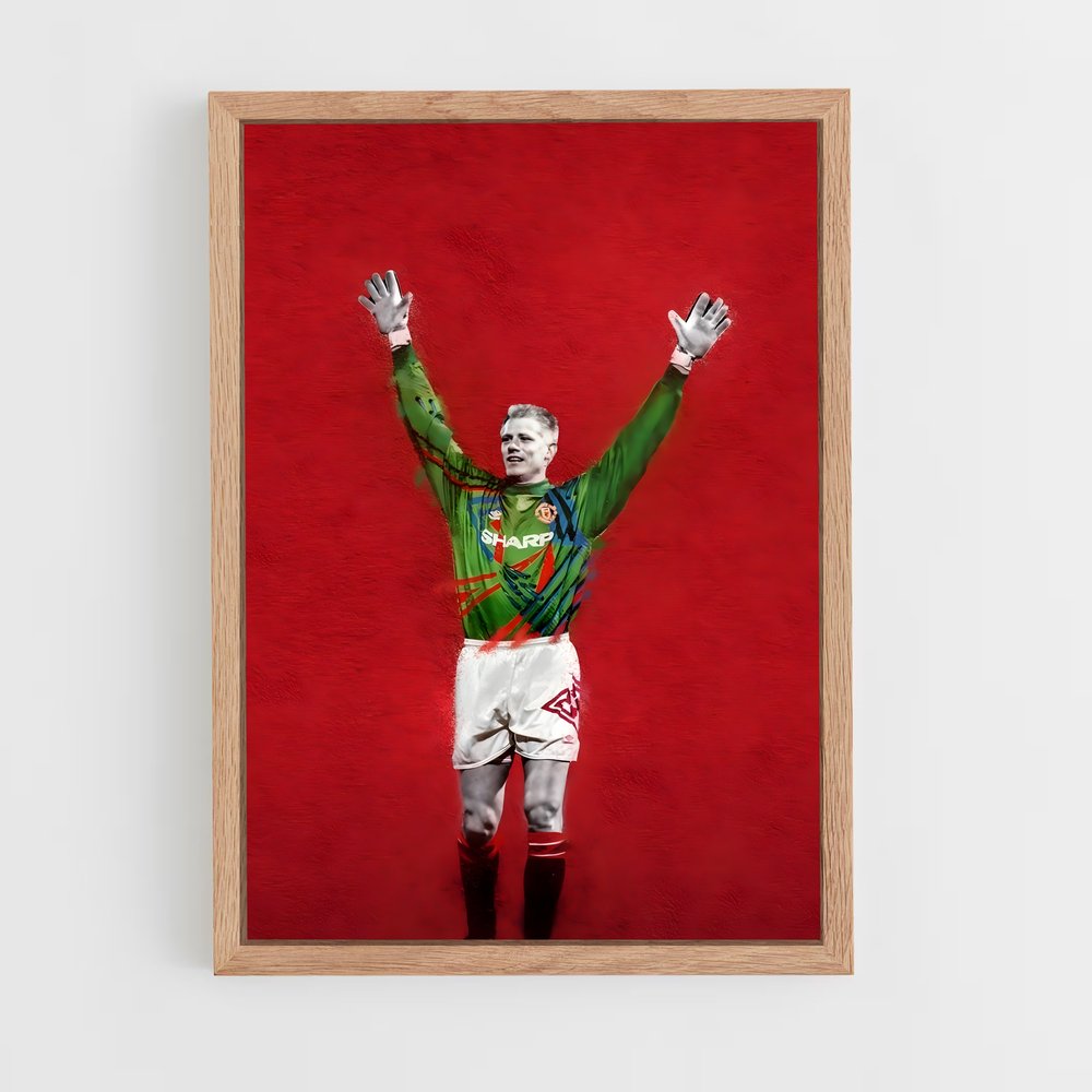 ap-peter schmeichel-8 cadre Bois clair