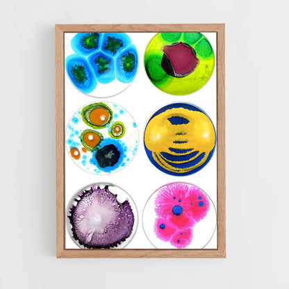 ap-petri dish-3 cadre Bois clair