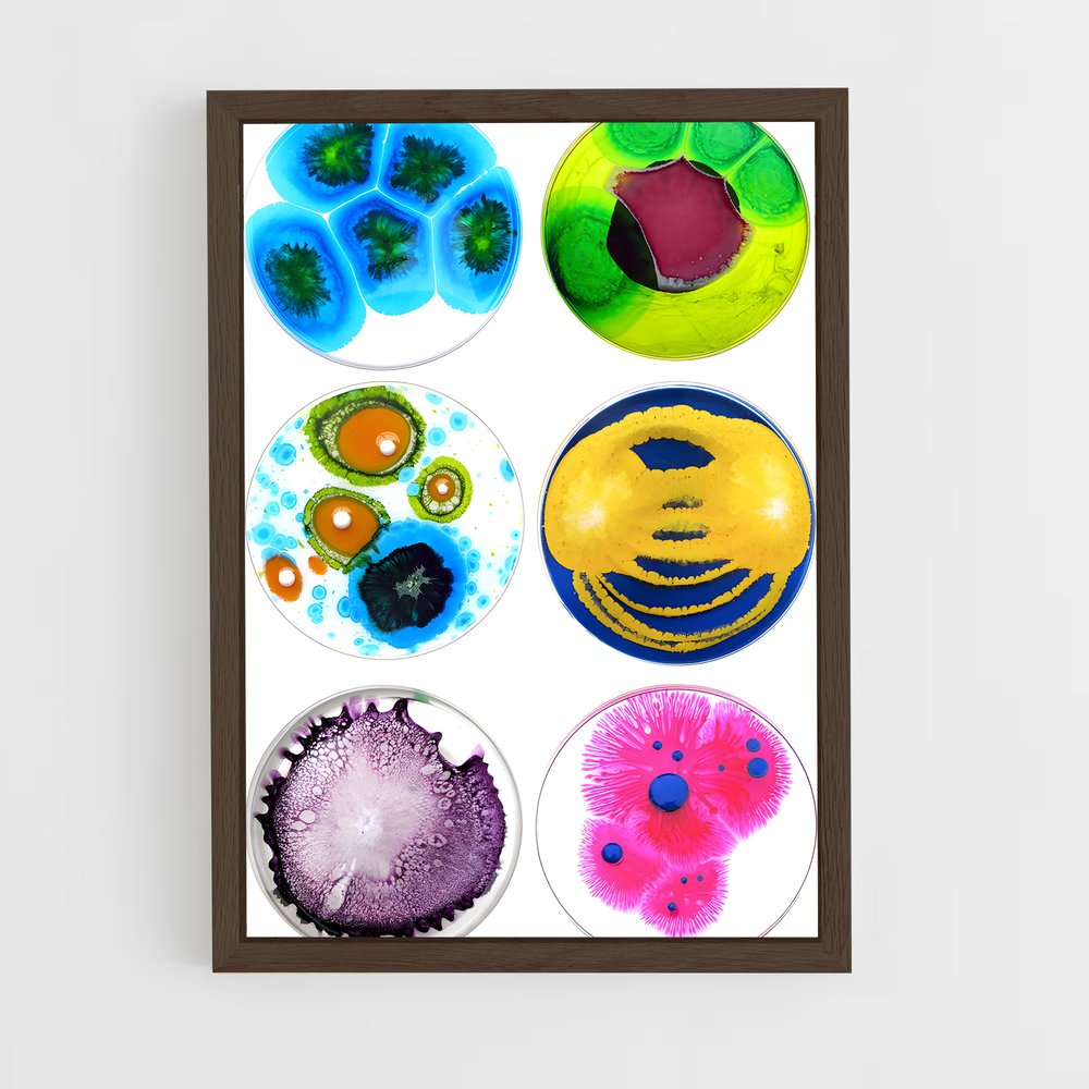 ap-petri dish-3 cadre Bois foncé