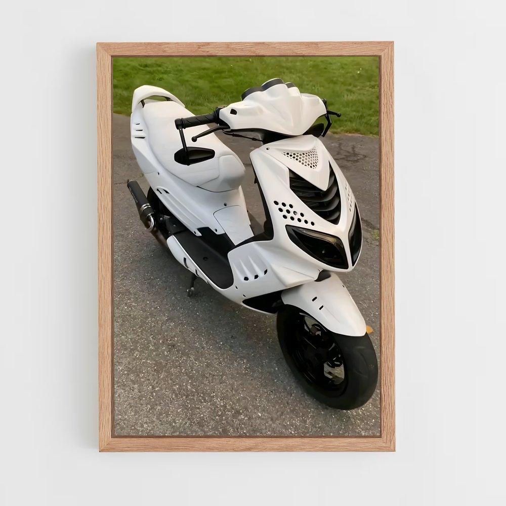 ap-peugeot speedfight-1 cadre Bois clair