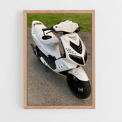 ap-peugeot speedfight-1 cadre Bois clair