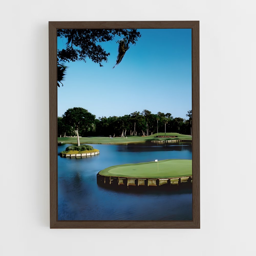 ap-pga tour-6 cadre Bois foncé