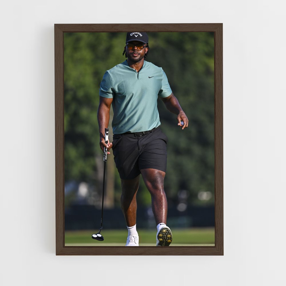 ap-pga tour-8 cadre Bois foncé