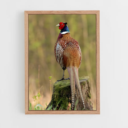 ap-pheasant-1 cadre Bois clair