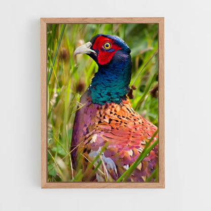 ap-pheasant-2 cadre Bois clair