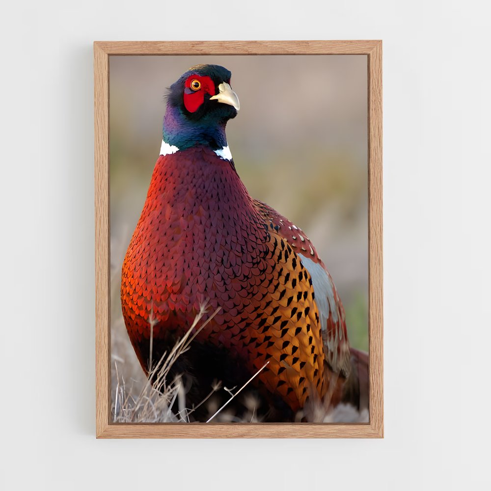 ap-pheasant-5 cadre Bois clair