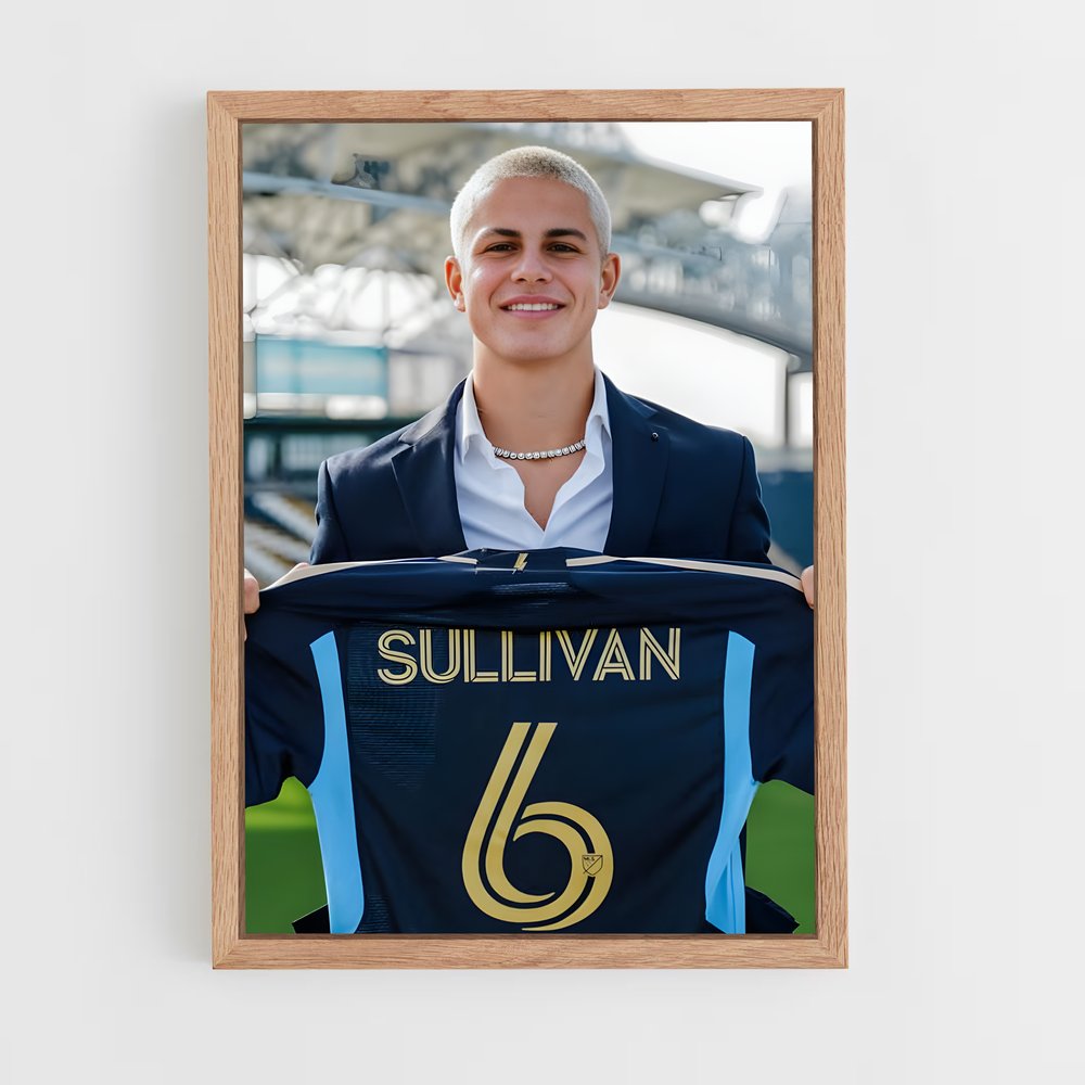 ap-philadelphia union-7 cadre Bois clair