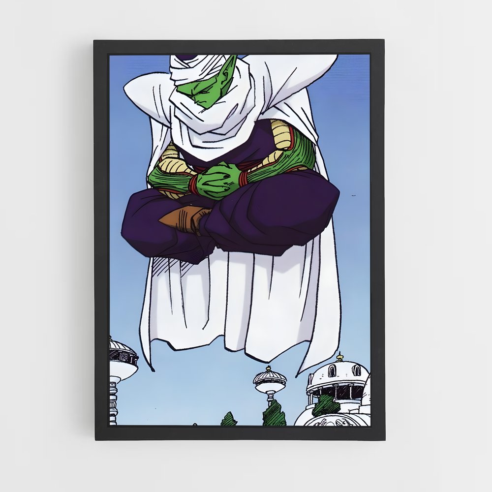 ap-piccolo-3 cadre Noir