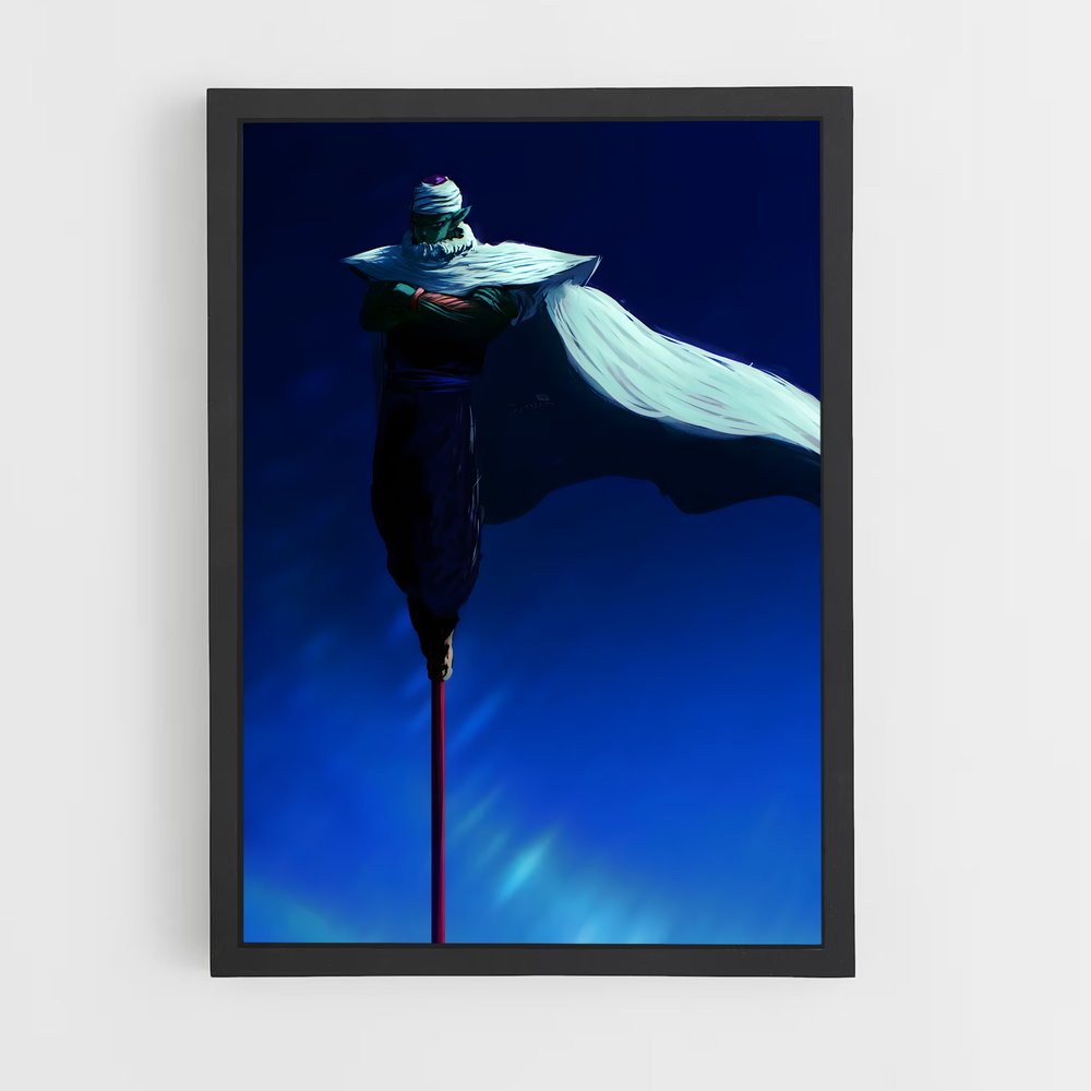 ap-piccolo-6 cadre Noir