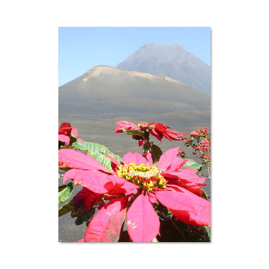 Poster Fleur de Fogo