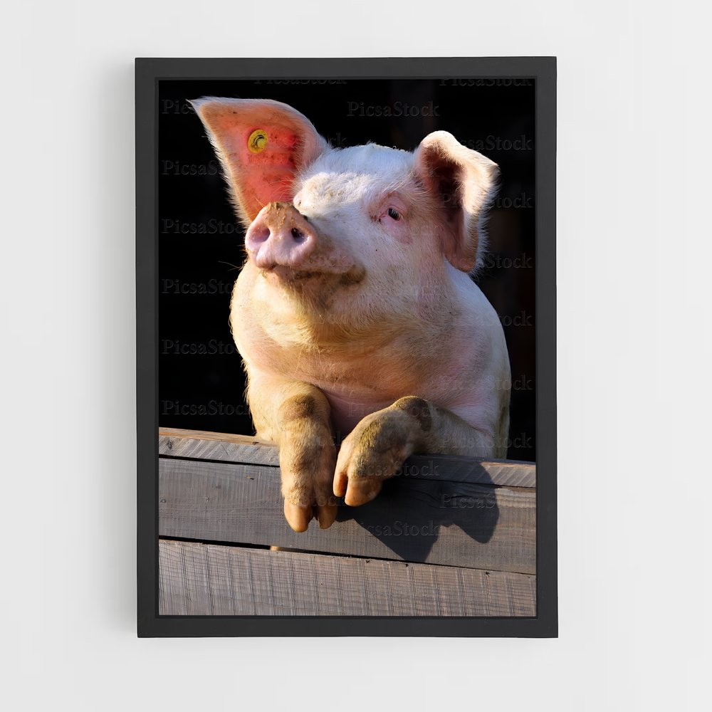 ap-pig-2 cadre Noir