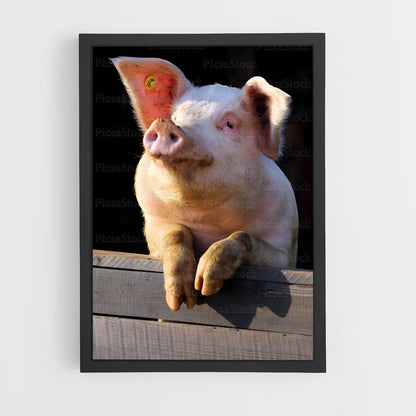 ap-pig-2 cadre Noir