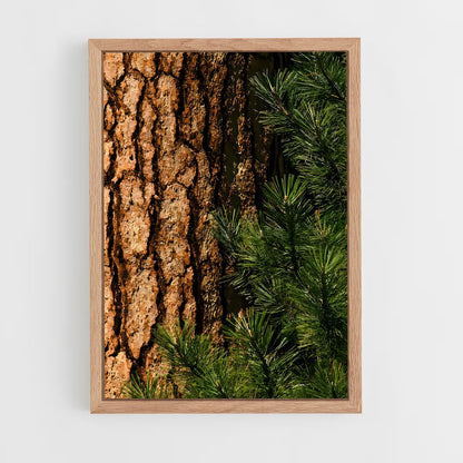 ap-pine forest-3 cadre Bois clair