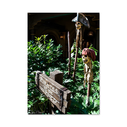Poster Capitaine du Jardin