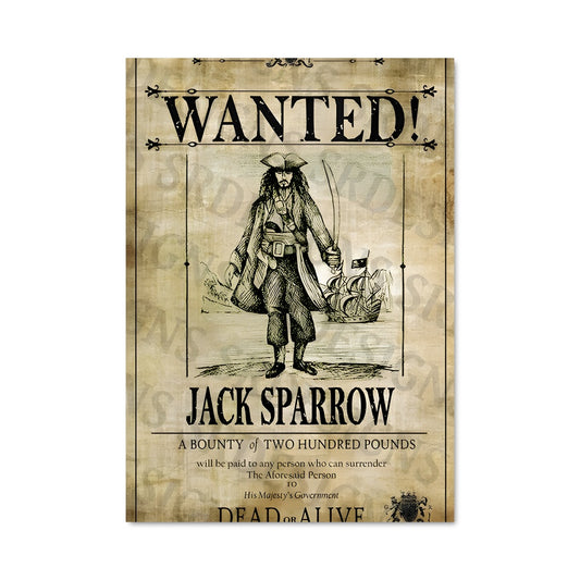 Poster Chasse aux Pirates