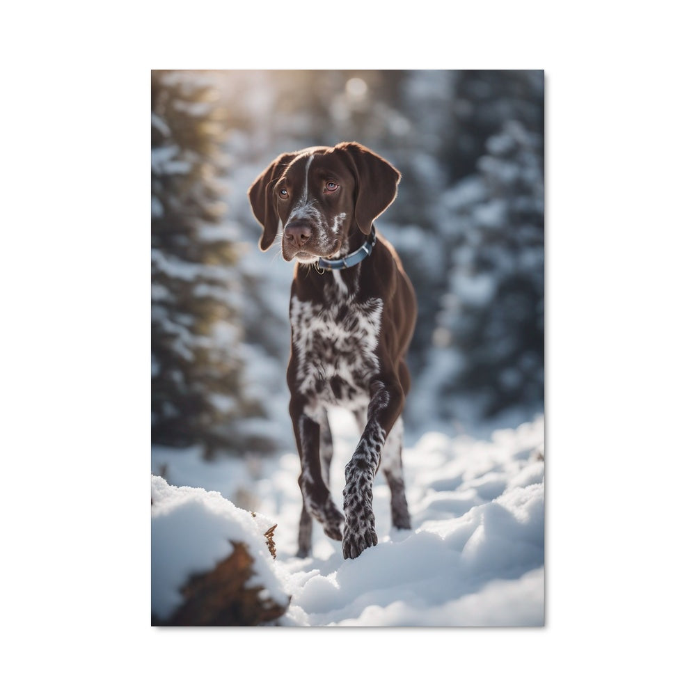 Poster Pointer 85050