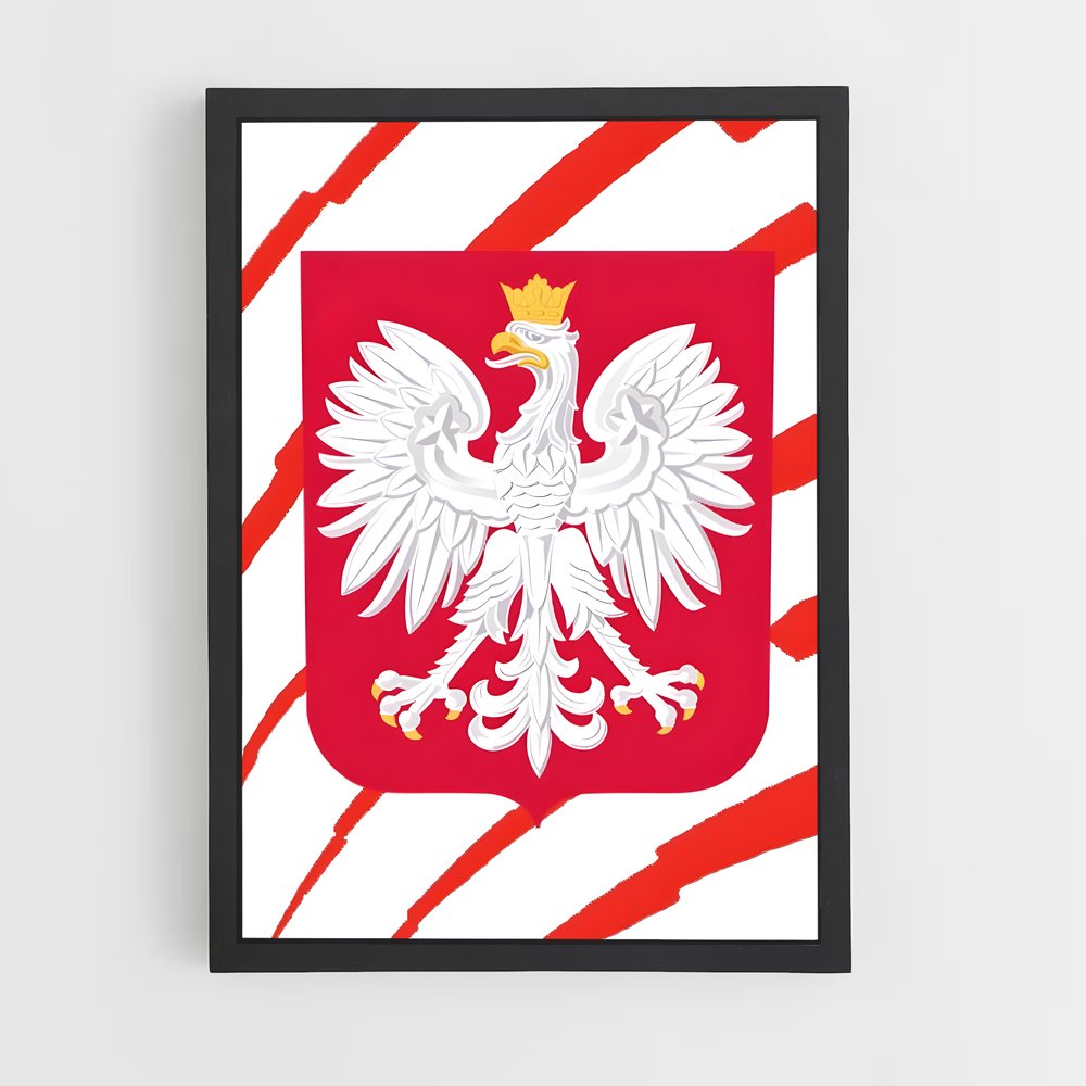 ap-poland national football team-1 cadre Noir