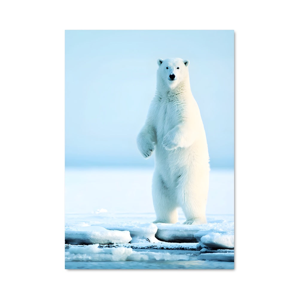 Poster Polar bear 84150