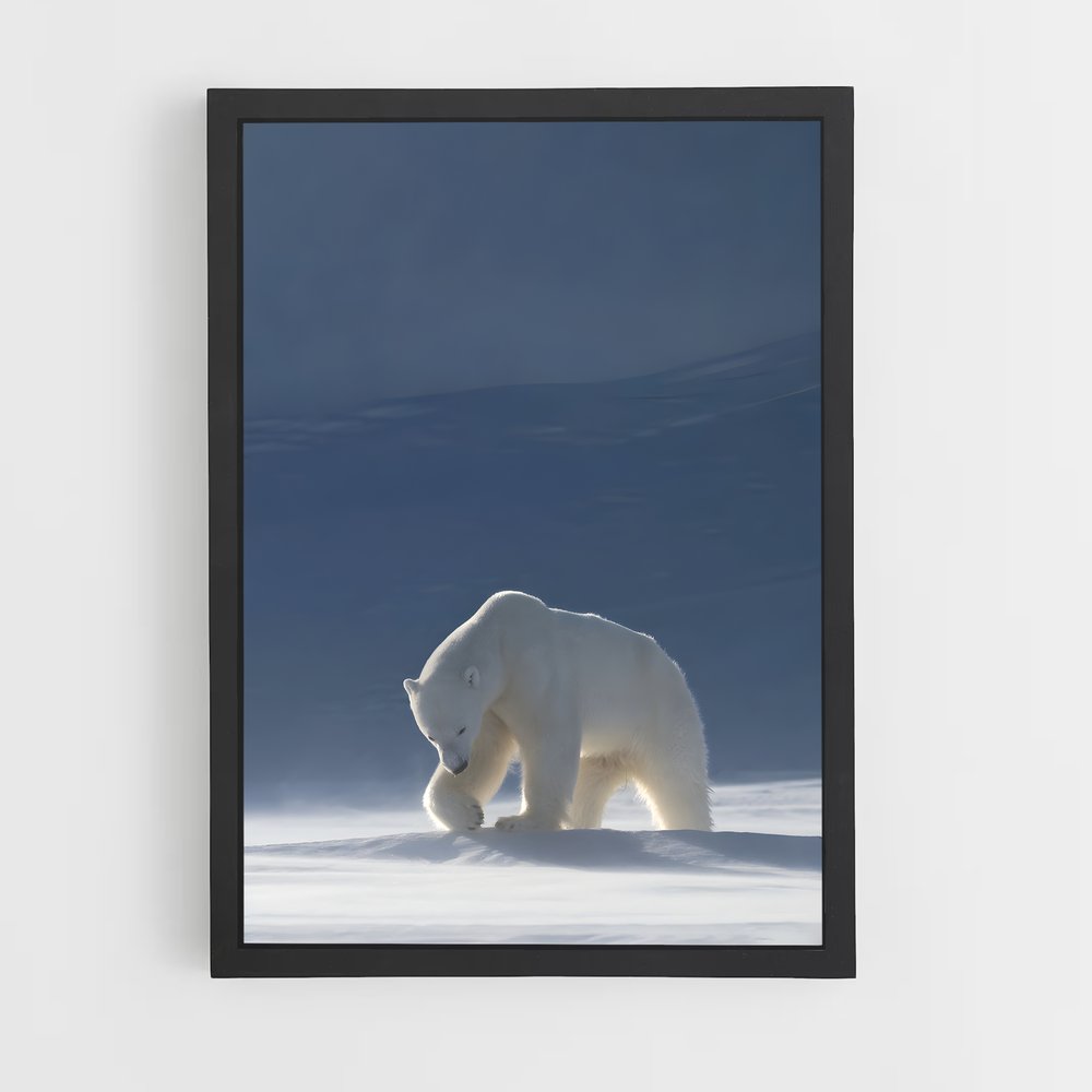 ap-polar bear-1 cadre Noir