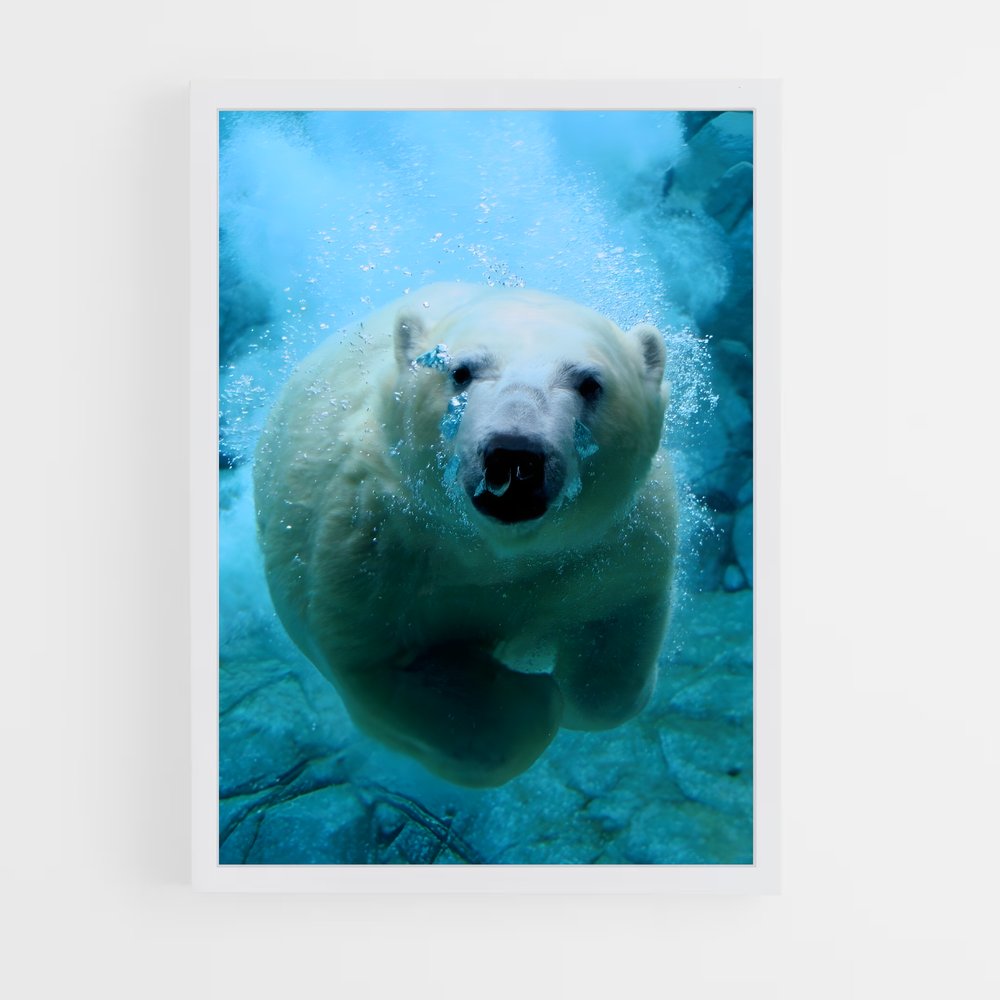 ap-polar bear-10 cadre Blanc