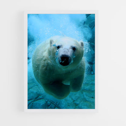 ap-polar bear-10 cadre Blanc